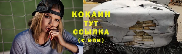 тгк Алексин