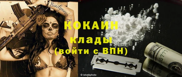 тгк Алексин