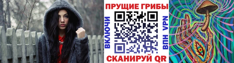 Псилоцибиновые грибы GOLDEN TEACHER  даркнет телеграм  Когалым  даркнет сайт 